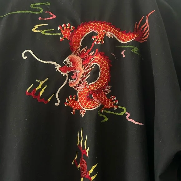 Black Dragon Embroidered Robe - Picture 3 of 3